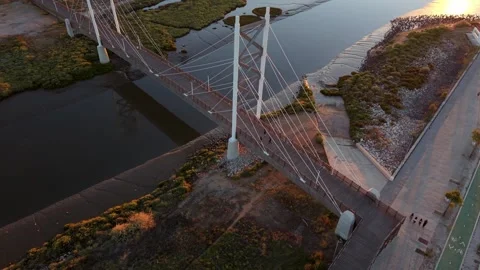 Sunset lights bridge cables and water below Video stock 345222788