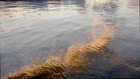 Sunset lights on the Harrison Lake, British Columbia, Canada Stock Footage 201641658