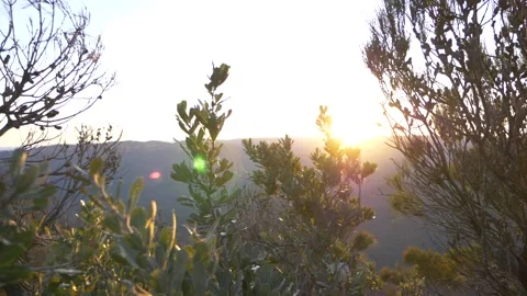 Sunset at Lincolns rock Stock Footage 168359459