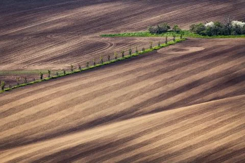 Sunset lines and waves in the spring Stock Photos