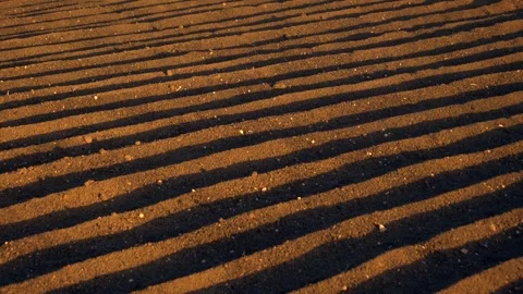 SUNSET LINES Stock Footage 306622133