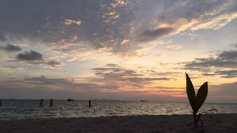 Sunset in lipe Vidéo 75702900