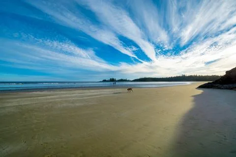 Sunset on a long beach of Pacific ocean shore on Vancouver Island Foto stock