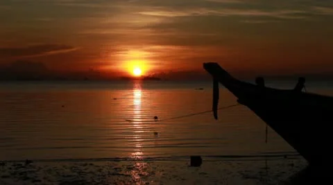 Sunset with Long-beaked Bird Video stock 11321559