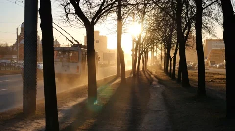 Sunset Long Shadows of Trees in City Street Vídeos de archivo 58697115