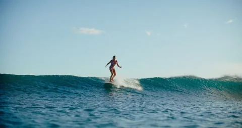 Sunset Longboarding in Hawaii Stock Footage 202095422