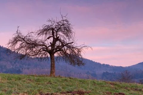 Sunset in low mountains Stock Photos