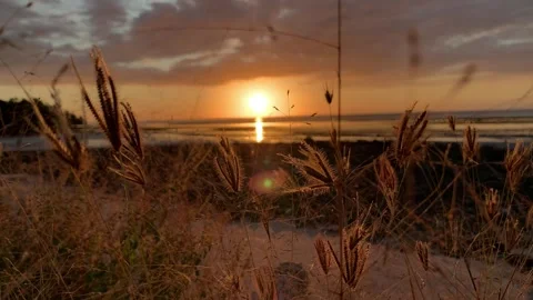 Sunset on low tide time. Sunset at the sea Stock Footage 243695702