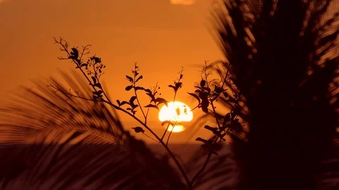 Sunset  - madagascar - nosy be Video stock 103201993