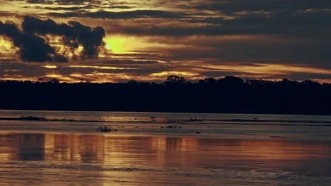 Sunset on the Madeira River Stock Footage 77252348