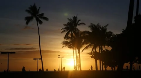 Sunset, magic island, ala moana beach park, waikiki, honolulu, oahu, hawaii Video stock 43067003