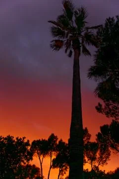 Sunset in Majorca Stockfoto's