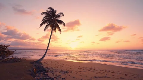 Sunset on a Maldivian beach. A large sun in the evening sky touches the horizon. Stock Footage 275281353