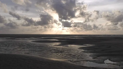 Sunset in mangrove low tide Stock Footage 129104949