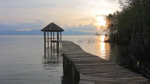 Sunset in mangroves forest Video stock 56715190