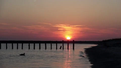 Sunset Marker Wadden Video stock 218432002