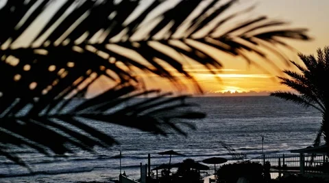Sunset Maroccan Palm View 4k Video stock 69021975