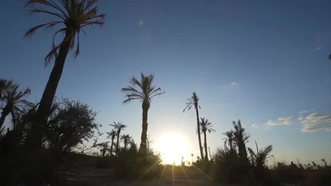 Sunset Marrakech Stock Footage 143477000