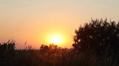 Sunset on the marsh Stock Footage 7753563