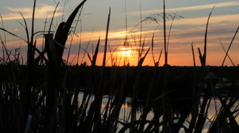 Sunset on the Marsh Stock Footage 37811381