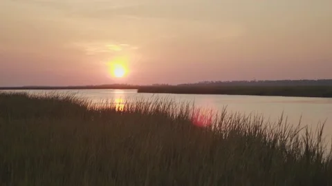 Sunset In The Marshes Handheld Stock Footage 205400213