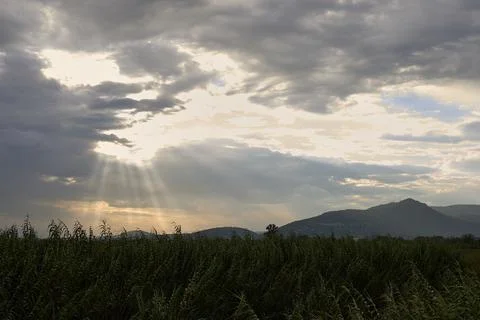 Sunset in a marshland landscape Stock Photos