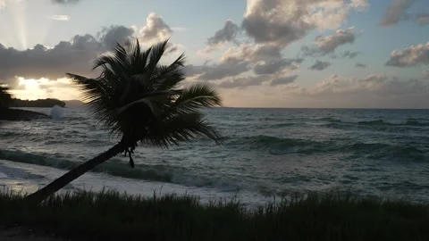 Sunset in Martinique Stock Footage 328102983