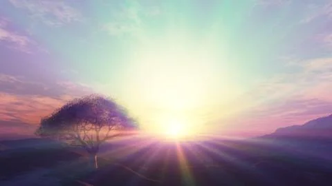 Sunset at meadow and lonely tree Stock Illustration