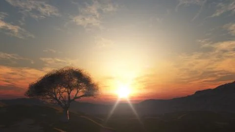 Sunset at meadow and lonely tree Stock Illustration