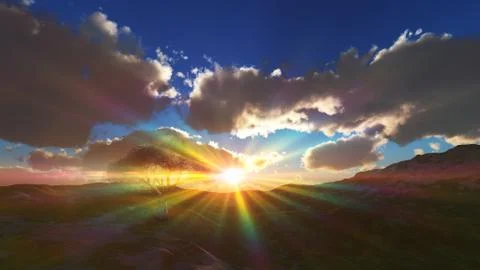 Sunset at meadow and lonely tree Stock Illustration