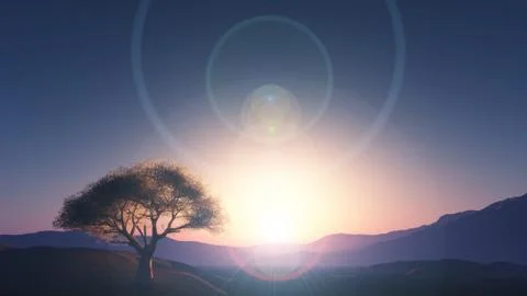Sunset at meadow and lonely tree Stock Illustration