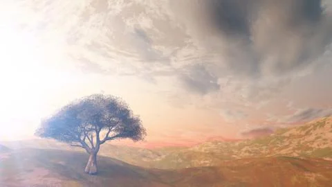 Sunset at meadow and lonely tree Illustrazione stock