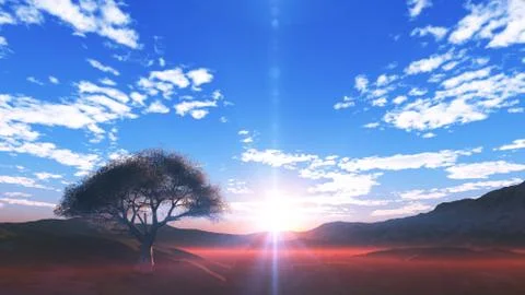Sunset at meadow and lonely tree Stock Illustration