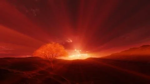 Sunset at meadow and lonely tree Illustrazione stock