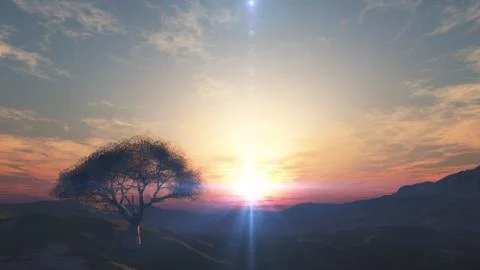 Sunset at meadow and lonely tree Illustrazione stock