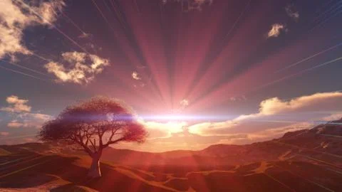 Sunset at meadow and lonely tree Stock Illustration