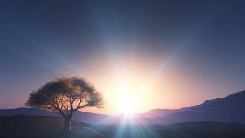 Sunset at meadow and lonely tree Stock Illustration