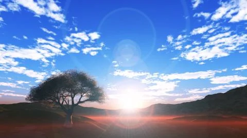 Sunset at meadow and lonely tree Stock Illustration