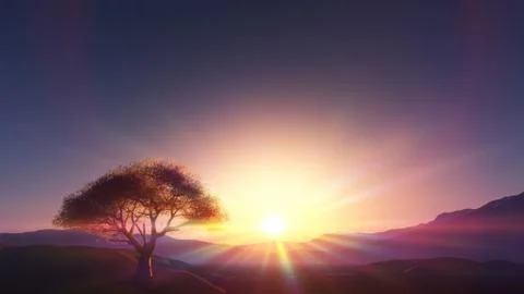 Sunset at meadow and lonely tree Stock Illustration