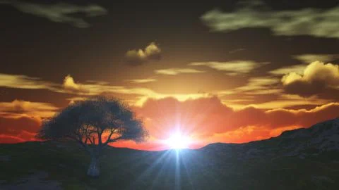 Sunset at meadow and lonely tree Stock Illustration