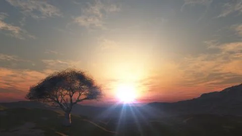 Sunset at meadow and lonely tree Stock Illustration