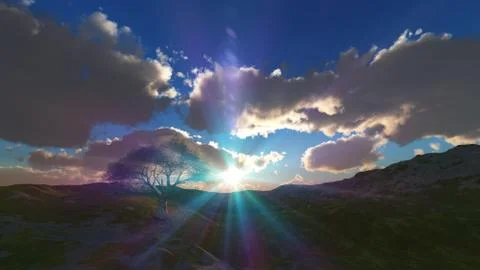 Sunset at meadow and lonely tree Stock Illustration