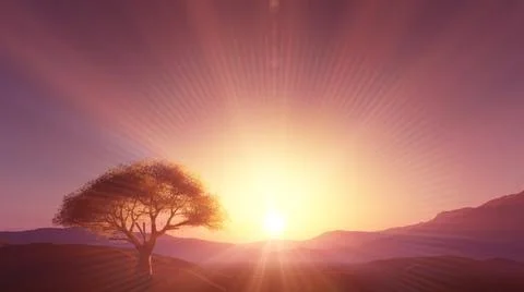 Sunset at meadow and lonely tree Stock Illustration