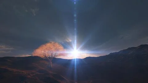 Sunset at meadow and lonely tree Stock Illustration