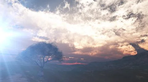Sunset at meadow and lonely tree Stock Illustration