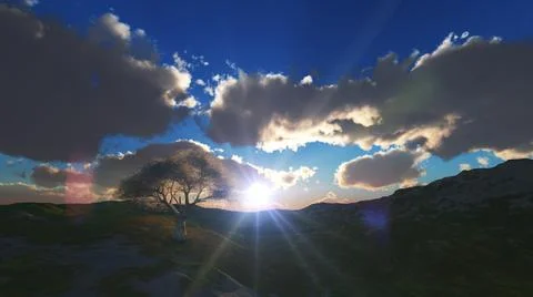 Sunset at meadow and lonely tree Stock Illustration