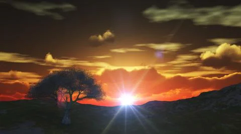 Sunset at meadow and lonely tree Stock Illustration