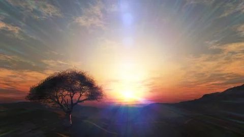 Sunset at meadow and lonely tree Stock Illustration