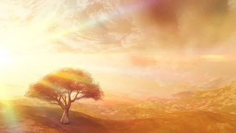 Sunset at meadow and lonely tree Stock Illustration