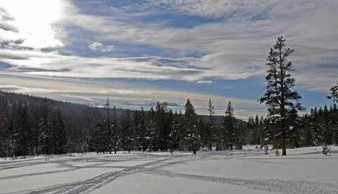Sunset on meadow with crossing paths Stock Photos